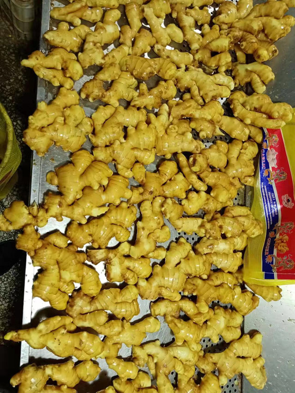 Ginger
