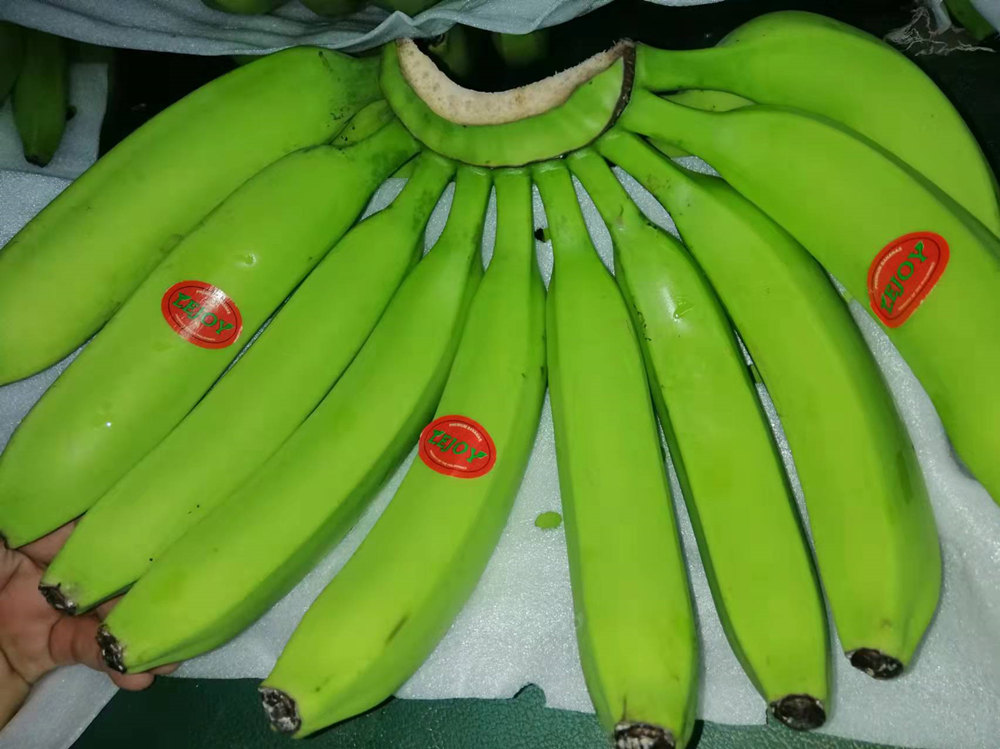 Banana