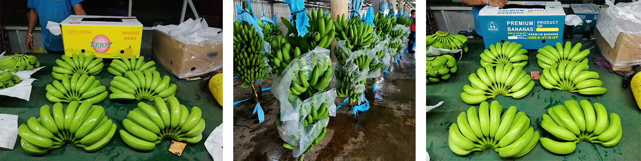 banana.jpg